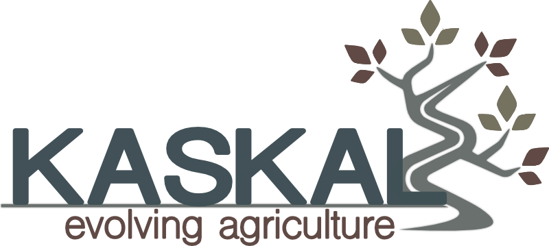 Kaskal